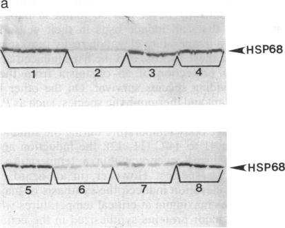 graphic file with name pnas01079-0160-c.jpg