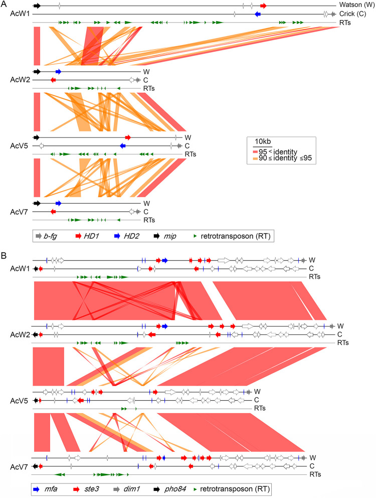 FIG 4