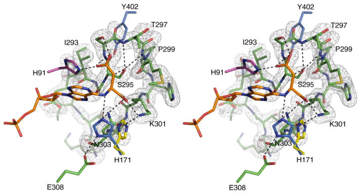 Figure 4