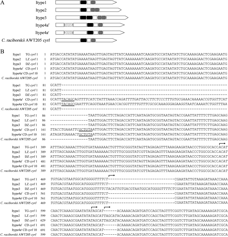 FIG 2