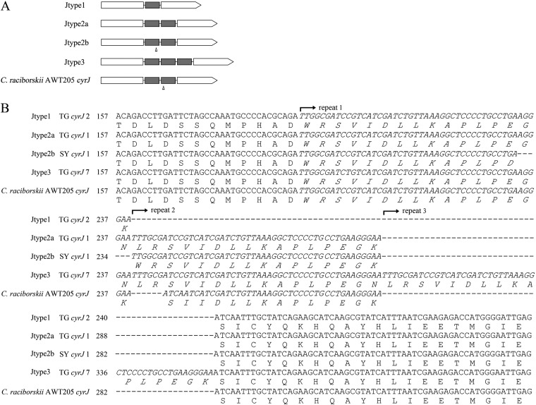 FIG 3