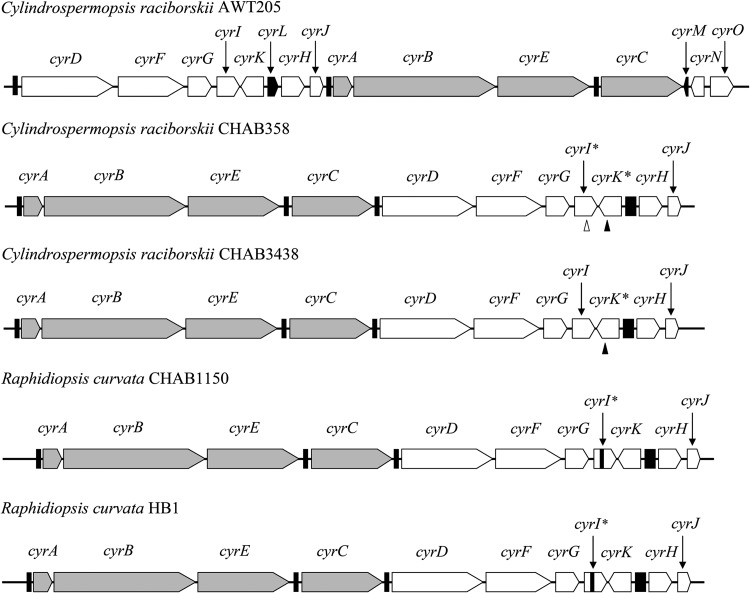 FIG 1