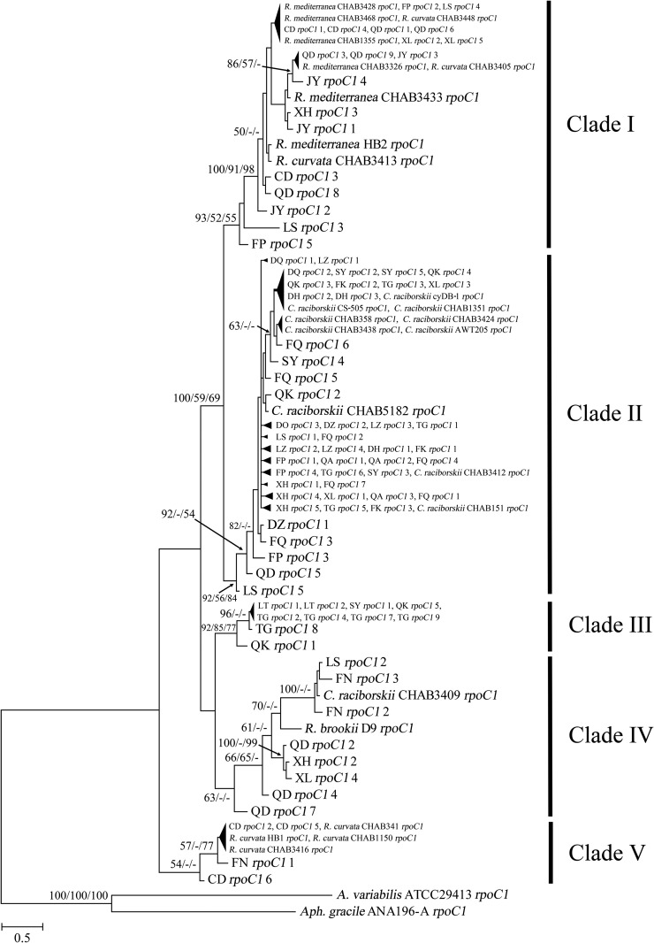 FIG 5