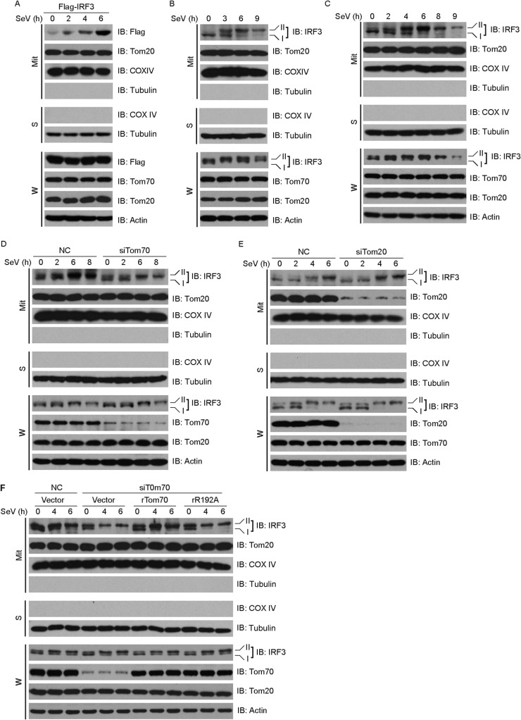 FIG 6