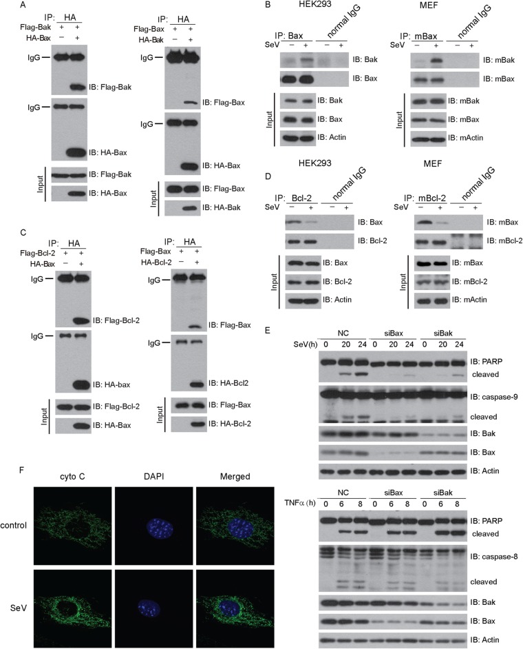 FIG 2