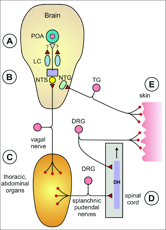 Figure 5.