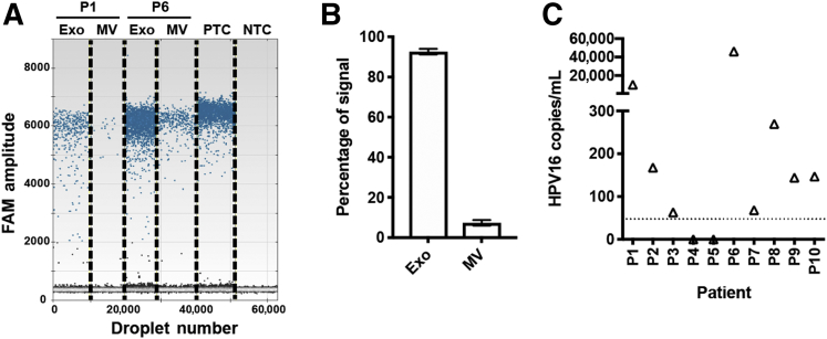 Figure 5