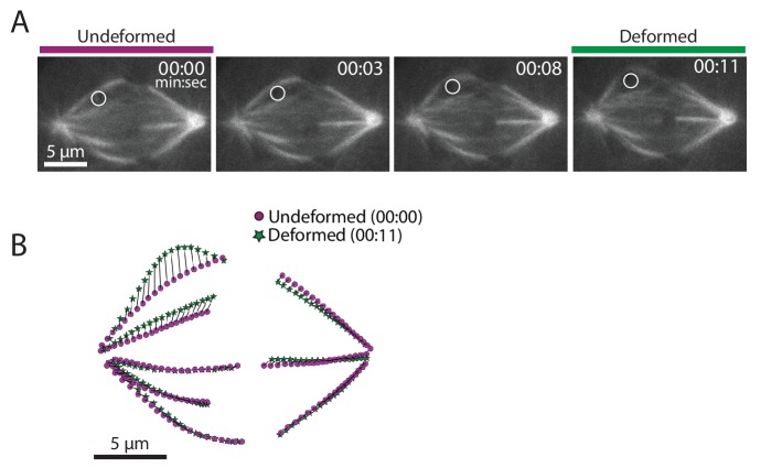 Figure 2—figure supplement 2.