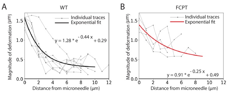 Figure 2—figure supplement 3.