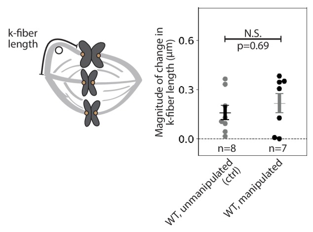 Figure 2—figure supplement 1.