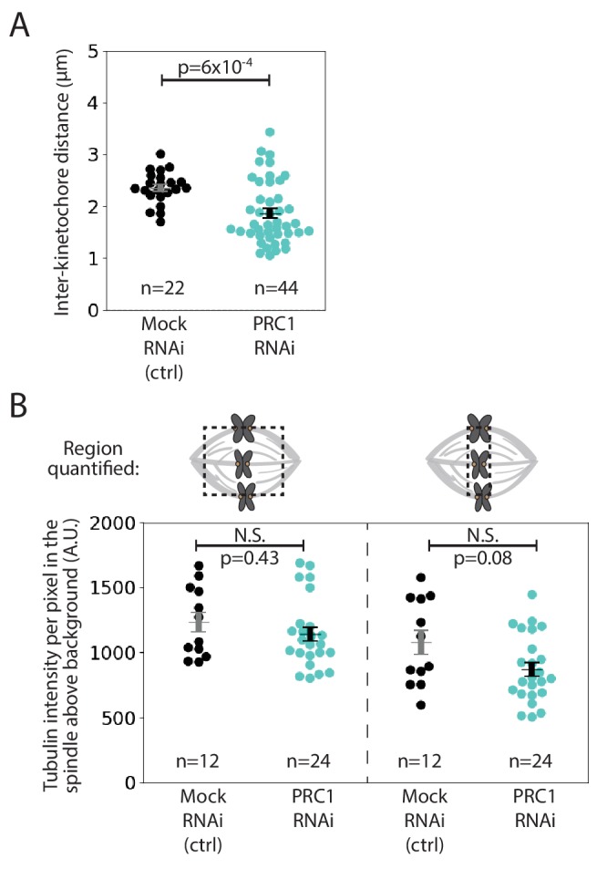 Figure 4—figure supplement 2.