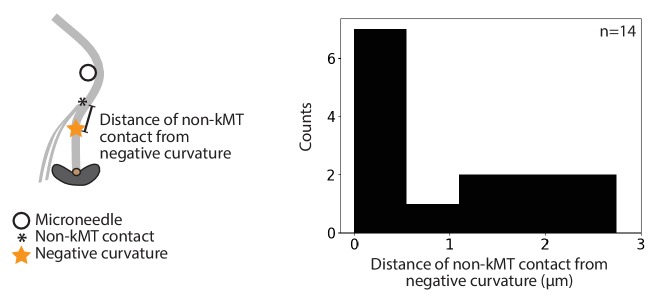 Figure 3—figure supplement 3.