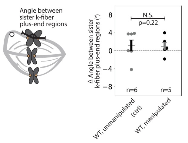 Figure 2—figure supplement 4.