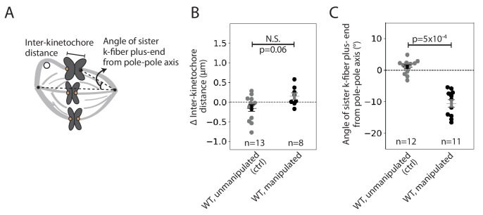 Figure 3—figure supplement 2.