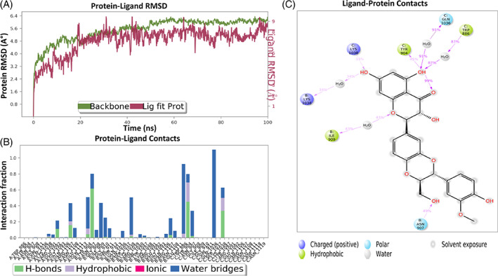 FIGURE 13