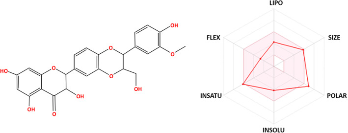 FIGURE 11