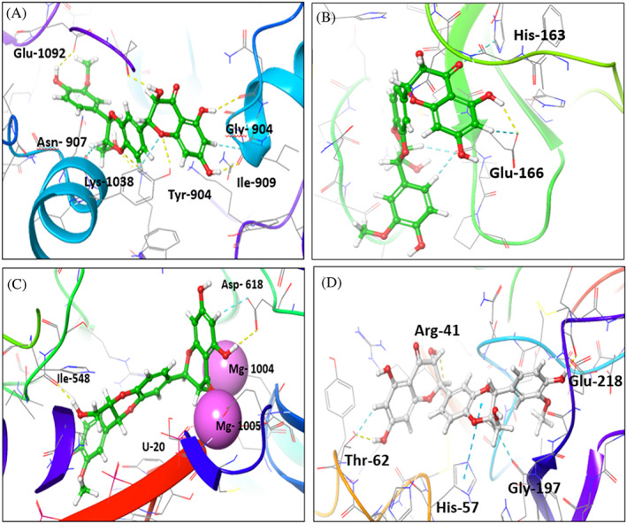 FIGURE 10