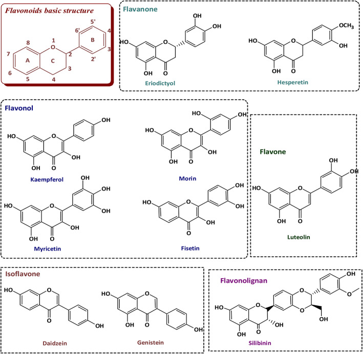 FIGURE 3