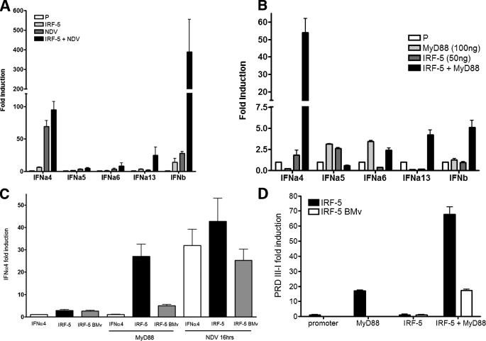 FIGURE 2.