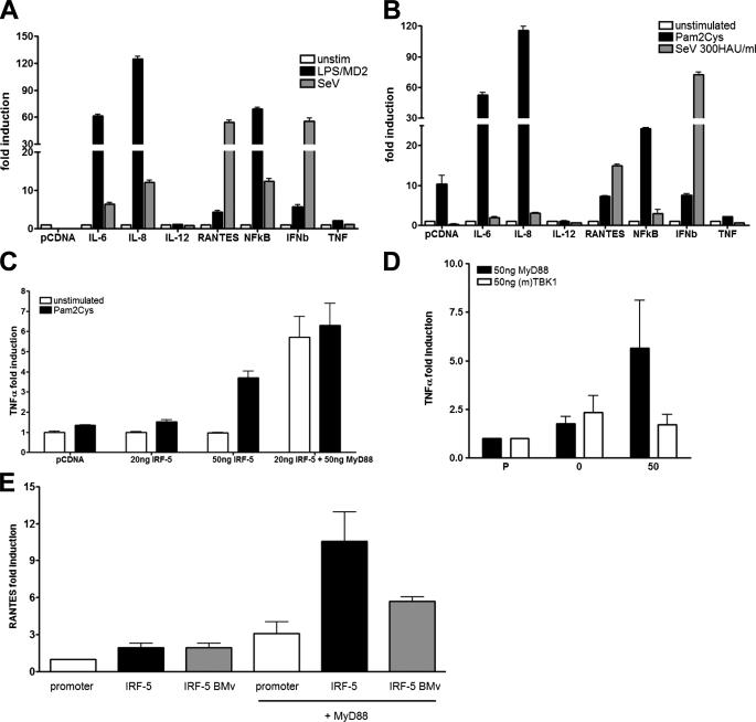 FIGURE 4.