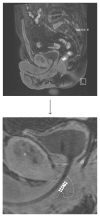 Figure 13