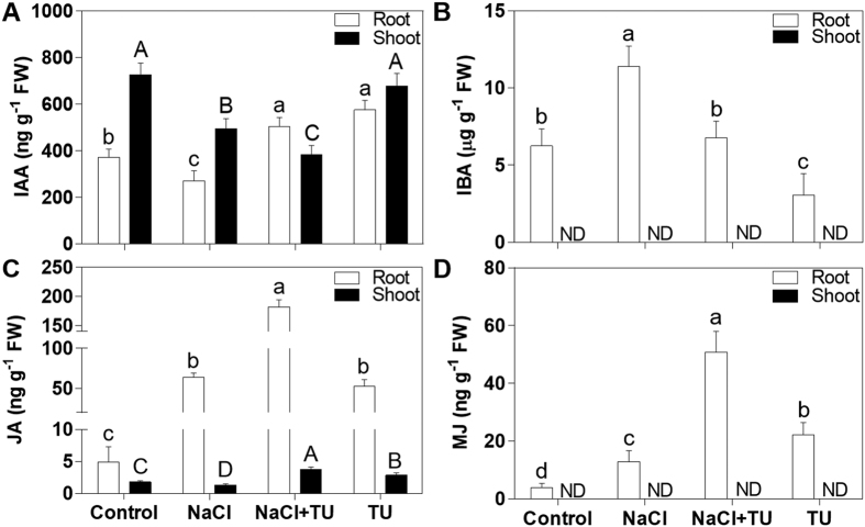 Figure 5