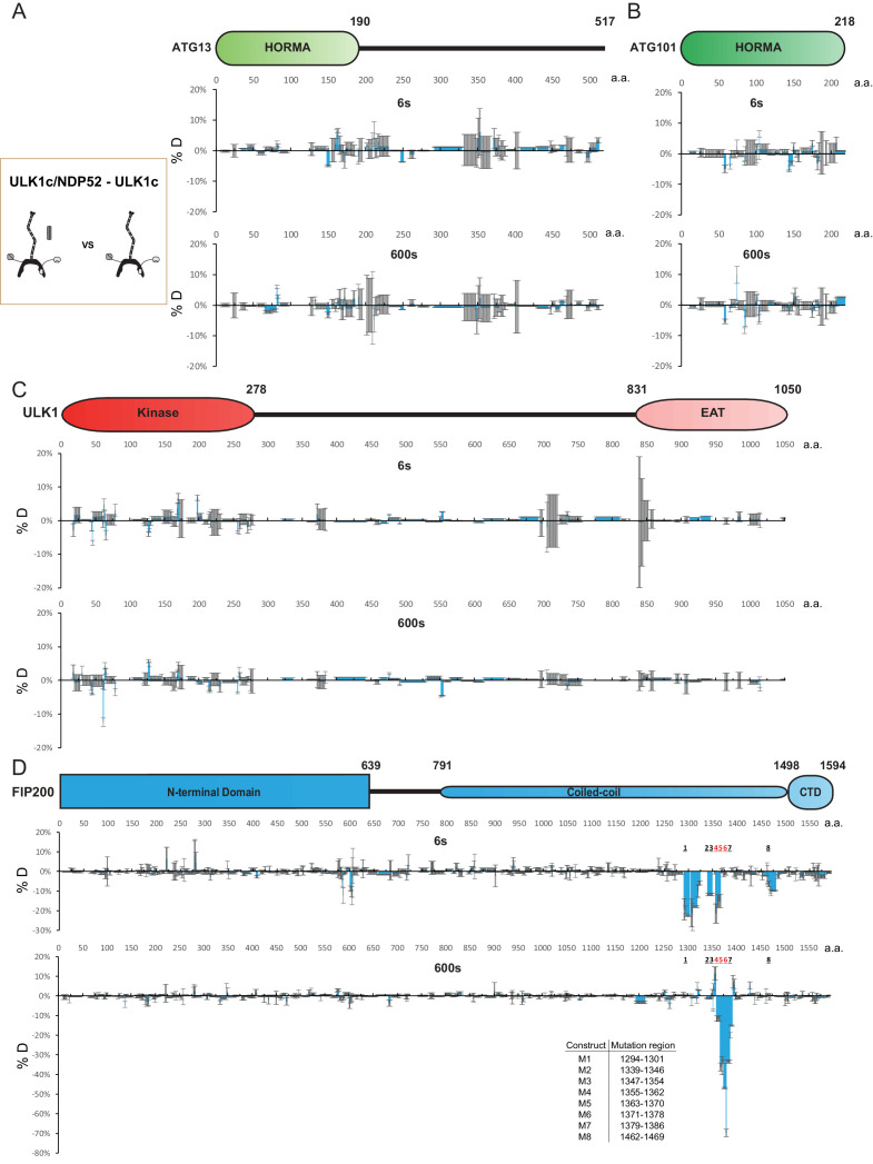 Figure 2—figure supplement 1.
