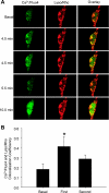 Fig. 6.