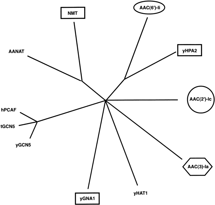 Figure 7.