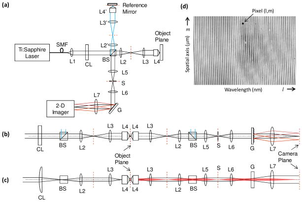 Fig. 1