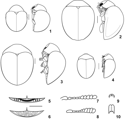 Figures 1–10.