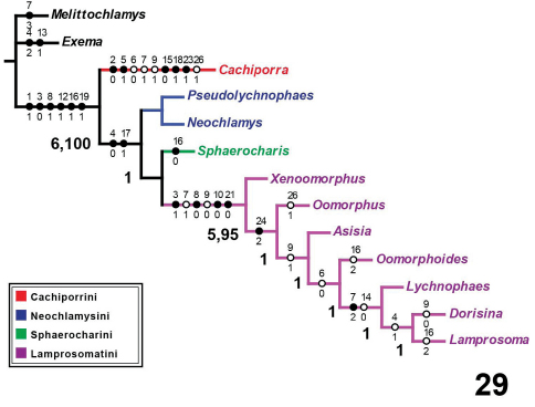 Figure 29.