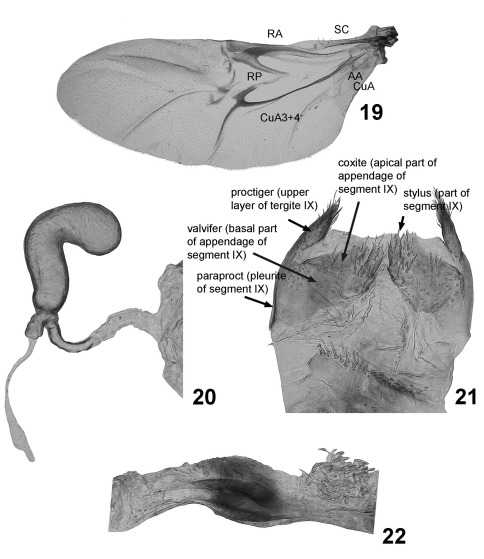 Figures 19–22.