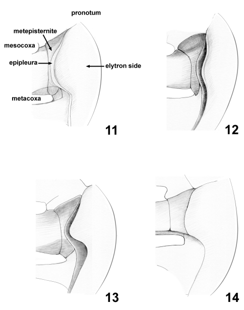 Figures 11–14.