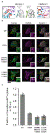 Figure 2,