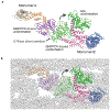 Extended Data Figure 6,