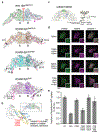 Figure 3,