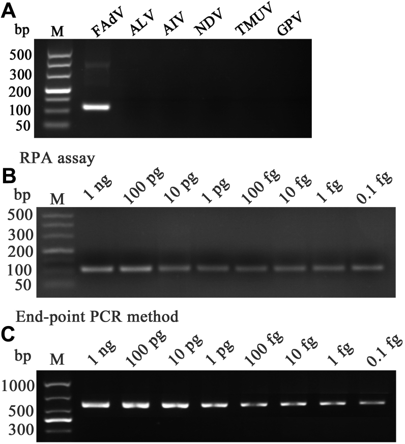 Figure 5