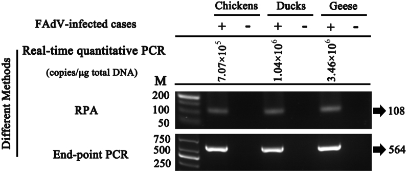 Figure 6