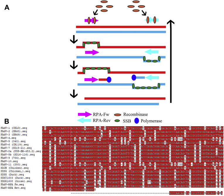 Figure 2