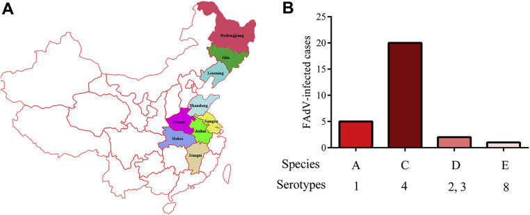 Figure 1