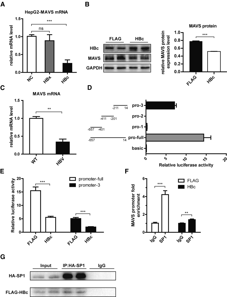 Figure 6