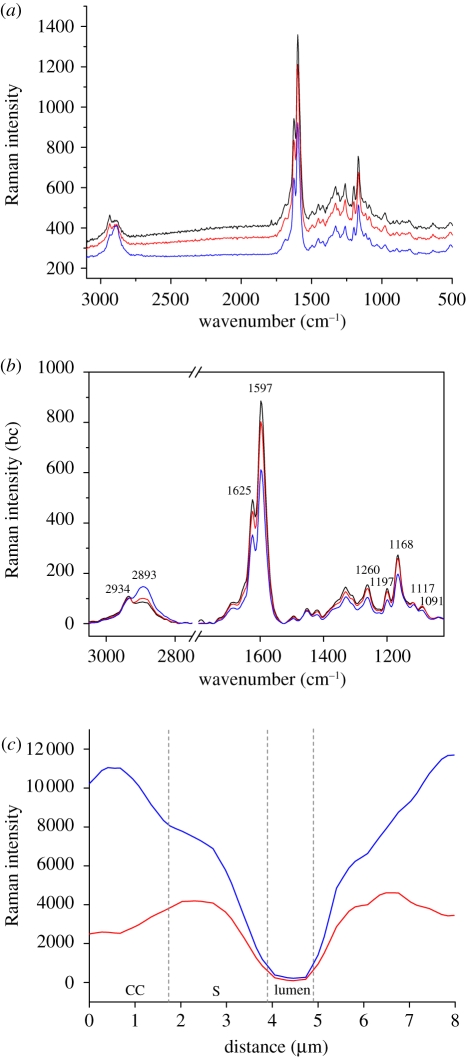 Figure 3.