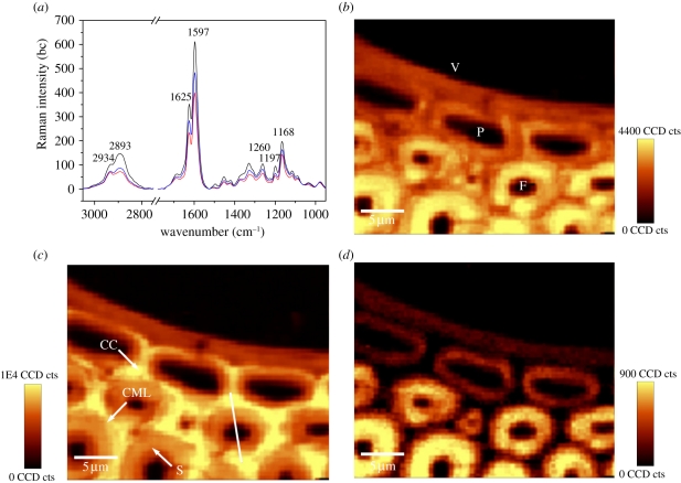 Figure 2.