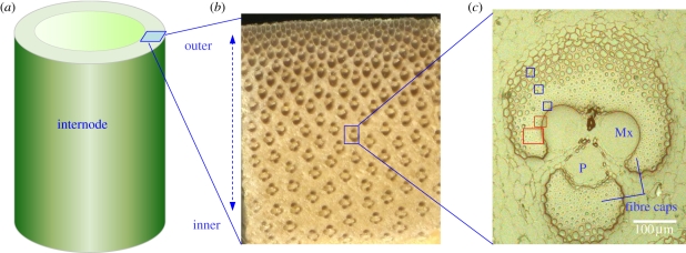 Figure 1.