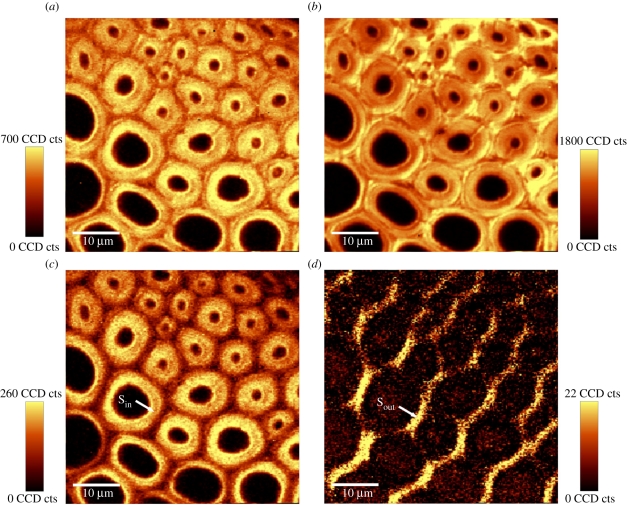 Figure 4.