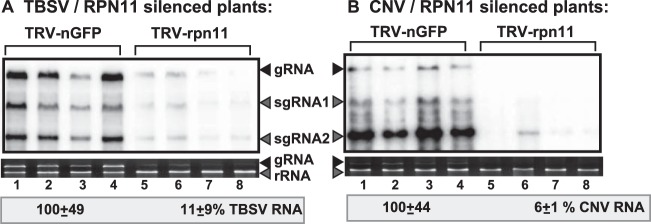 FIG 10