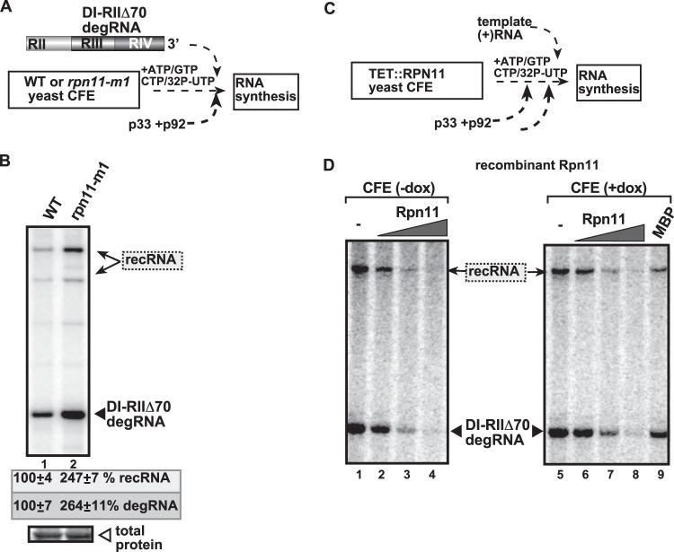 FIG 2