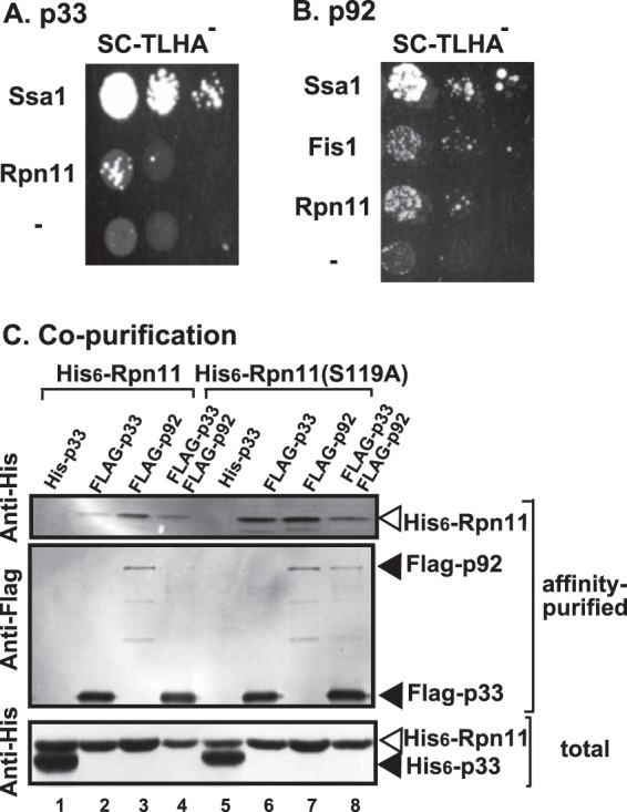 FIG 3