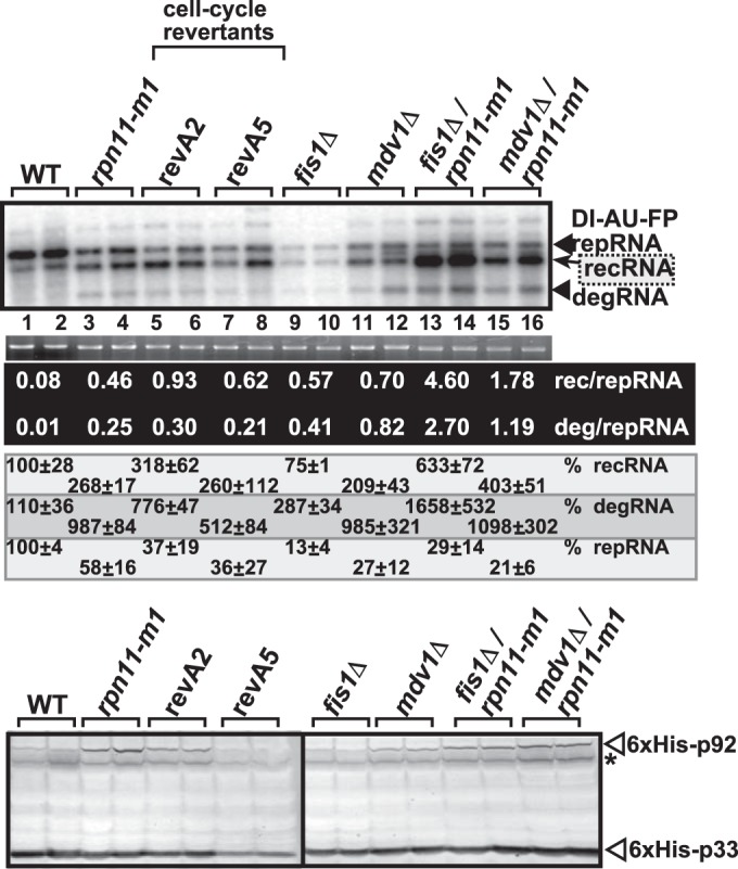 FIG 5